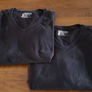 2 mens Haines v-neck tees